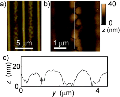 Dewetted morphology of PS in a microwrinkle groove pre-coated with PVP. (a) Optical, (b) AFM images, and (c) the corresponding profile along the groove direction, indicated by the white line in (b).