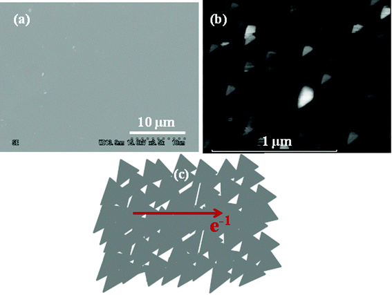 (a) An SEM image of the deposited continuous nanographene film. (b) AFM image of nanographene grown on a Si substrate with triangular domain structures (the morphology is similar on a SiO2 substrate). (c) A schematic of the triangular nanographene domain forming a continuous film.