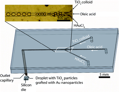 Experimental setup for the microfluidic, droplet-based synthesis of Au nanoparticle-grafted TiO2 particles. Aqueous HAuCl4 and TiO2 particles functionalized with APA are separately injected into a microfluidic chip, where the two streams form droplets in oleic acid, which are subsequently merged in a sequence of channel constrictions and expansions. The reaction product can be captured on a silicon die for subsequent analysis in a transmission electron microscope.