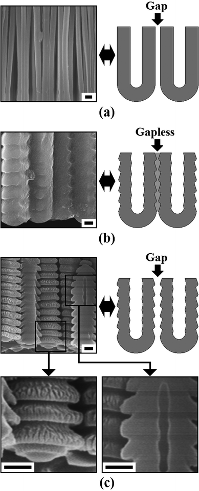 Schematic drawings and SEM images of the AAO fabricated in an ethanol modified oxalic acid electrolyte (ethanol : 0.3 M oxalic acid = 1 : 2, v/v) under different anodization conditions: (a) obtained under a constant-current anodization process (500 A m−2), (b) and (c) obtained under a constant-voltage anodization process (500 V) with different ending ia of approximately 400 A m−2 and 55 A m−2, respectively. Scale bars = 300 nm.