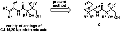 Ready access to analogs of CJ-15,801/pantothenic acid.