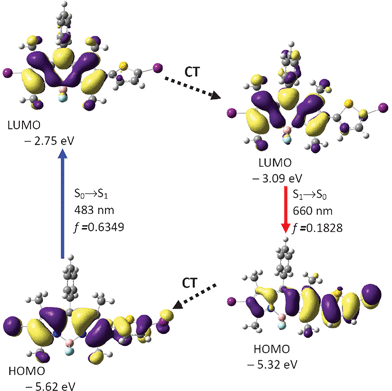 Calculation on the absorption and emission of BI-1 and rationalization of the large Stokes shift: the frontier molecular orbitals (MOs) involved in the vertical excitation (i.e. UV-vis absorption, the left column) and emission (the right column). The vertical excitation related calculations are based on the optimized ground state geometry (S0 state), the emission related calculations are based on the optimized excited state geometry (S1 state). Note the energy levels of the HOMO and LUMO at S1 state are different from that at the S0 state (which indicates geometry relaxation). CT stands for conformation transformation. Excitation and radiative processes are marked as solid lines and the non-radiative processes are marked by dotted lines. Toluene was used as the solvent for the calculations of the absorptions. At B3LYP/6-31G(d)/level using Gaussian 09W.