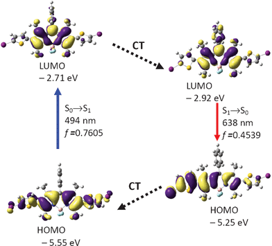 Rationalization of the absorption–emission and the large Stokes shift of BI-2: the frontier molecular orbitals (MOs) involved in the vertical excitation (i.e. UV-vis absorption, the left column) and emission (the right column) of BI-2. The vertical excitation related calculations are based on the optimized ground state geometry (S0 state), the emission related calculations were based on the optimized excited state geometry (S1 state). Note the energy levels of the HOMO and LUMO at S1 state are different from that at the S0 state (which indicates geometry relaxation). CT stands for conformation transformation. Excitation and radiative processes are marked as solid lines and the non-radiative processes are marked by dotted lines. Toluene was used as the solvent. At the B3LYP/6-31G(d)/level using Gaussian 09W.