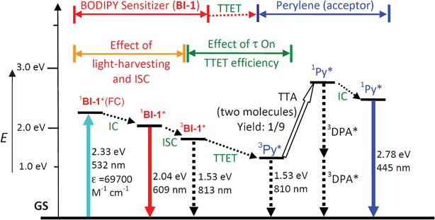 Qualitative Jablonski diagram illustrating the sensitized TTA upconversion process between BI-1 (sensitizer) and perylene (Py, acceptor). The effect of the light-harvesting ability and the triplet state lifetime of the BI-1 sensitizer on the efficiency of TTA upconversion is also shown. E is energy. GS is ground state (S0). 1BI-1*(FC) is BI-1 singlet excited state at Franck–Condon state. IC is inner conversion. ISC is intersystem crossing. 3BI-1* is the BI-1 based triplet excited state. TTET is triplet–triplet-energy-transfer. 3Py* is the triplet excited state of perylene. TTA is the triplet–triplet annihilation. 1Py* is the singlet excited state of perylene. The emission observed for the sensitizers alone is due to the 1BI-1* emissive excited state. The emission observed in the TTA upconversion is the simultaneous 1BI-1* emission (prompt fluorescence) and the 1Py* emission (upconverted fluorescence).
