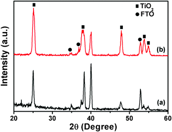 XRD patterns of (a) the distorted hexagonal TiO2 NRs and (b) the highly ordered tetragonal TiO2 NR thin film.