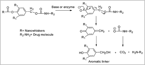 1,6-Benzyl elimination reaction mechanism of the aromatic linker.