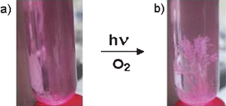 Photocatalytic conversion of 4-chlorobenzaldehyde (a) to the corresponding carboxylic acid, which crystallizes from the irradiated reaction mixture (b). Reaction conditions: air saturated H2O–CH3CN solvent (1 : 1 v/v) containing 1 × 10−3 M of substrate and 7.8 × 10−7 M of catalyst 1 1 under simulated sunlight exposure (AM 1.5).