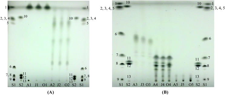 Thin layer chromatography of fractions from solid phase extraction. (A) Fractions 1 and 2, developed in hexane/diethyl ether (94/6). (B) Fractions 3–5, developed in hexane/diethyl ether/acetic acid (85/15/2). S1 and S2 are standard mixtures: (1) n-octacosane, (2) behenyl oleate, (3) behenyl stearate, (4) palmityl palmitate, (5) lauryl palmitate, (6) triolein, (7) palmitoleic acid, (8) 1, 2-diolein, (9) monoolein, (10) cholesteryl myristate, (11) 1-hexadecanol, (12) cholesterol and (13) phospholipid standard mixture.