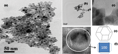 TEM images of truncated octahedron (TO) (a) and spherical shaped (b) MNPs; (c, d) higher magnification of TEM of TO shaped MNPs and TO single crystal (e) SHAPE (V7.2, Demo version) software analysis of MNPs and (f) TO nanocrystals sketched in two dimensional projection.