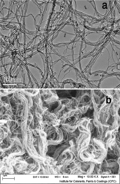 TEM (a) and SEM (b) images of MWCNT.