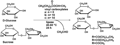 General sugar-vinyl carboxylate transesterification strategy to give sugar 6-monoesters.