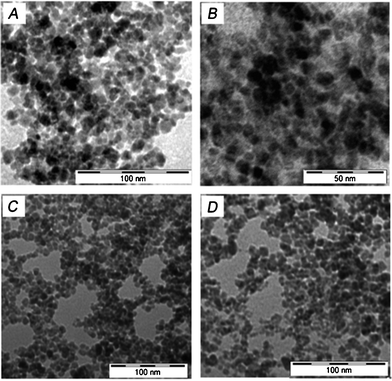 A and B show TEM images of IONPs; C and D show TEM images of 5-FU tagged IONPs.