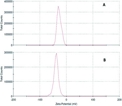 Zeta potentials of (A) 5-FU tagged IONPs and (B) IONPs.