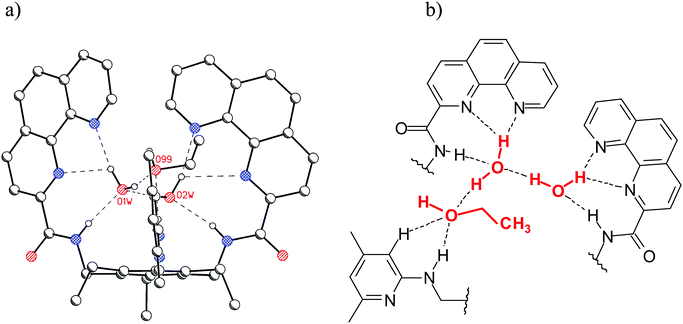 (a) Crystal structure of 13 (C–Hs are omitted for clarity); two hydrogen-bonded water molecules and one ethanol molecule are present in the binding pocket of 13. (b) Schematic representation of the binding motifs in the binding pocket of 13.6h