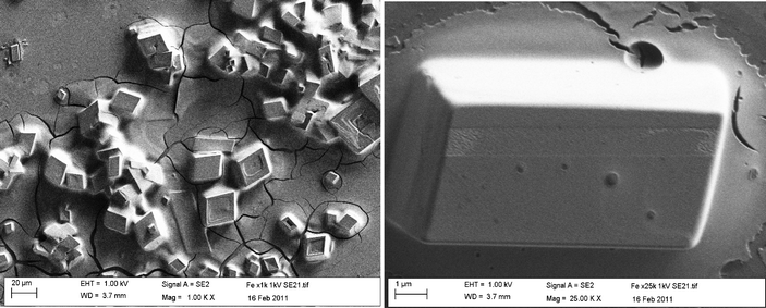 Typical SEM images of the iron oxide (Fe3O4) particles immobilised upon the surface of a carbon screen printed electrode.
