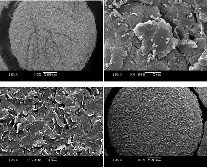 SEM images of the FeO(OH) SPE (above) and standard SPE (below).