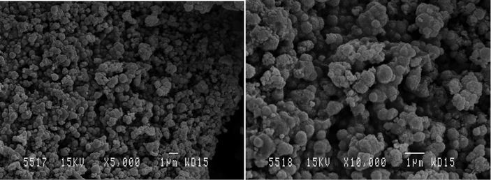 SEM images of the iron oxide nanoparticles formed during the treatment of the FeO(OH) electrodes.