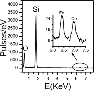 EDS spectra of FeCo_500 °C.