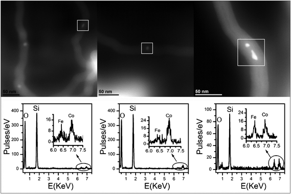 HAADF STEM images (top) and corresponding EDS spectra (bottom) of three regions of the FeCo_500 °C _CNT sample.