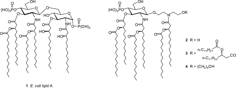 Structure of E. coli lipid A (1) and diethanolamine containing lipid A mimics 2–4.