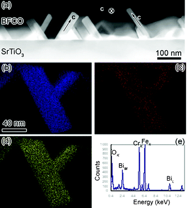 (Color online) (a) The low magnification high angle annular dark field micrograph of 10-H hexagonal BFCO thin films, (b), (c) and (d) are the elemental Cr, O and Fe mappings by EDS under STEM mode, respectively. (e) Is the typical EDS spectrum of BFCO thin films. The major peaks of Bi, Fe, Cr and O were labeled.