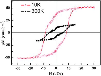 (Color online) Typical magnetic hysteresis loops of BFCO film composed by nano crystal sheets at both 300 K and 10 K with a magnetic field applied parallel to the substrate surface. p Stands for the film's occupation proportion, which was evaluated to be about 0.4–0.6 for the measured film.