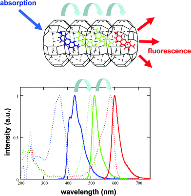 Efficient energy transfer between molecules in zeolite L, illustrating dual aspect of Förster energy transfer: spatial hopping of molecular excitation (top) accompanied by a change of the fluorescence spectrum (bottom).10