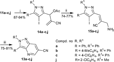 
          Reagents and conditions: (i) AcCl (1.5 eq), Py (1.3 eq), CH2Cl2, 0 °C-rt, 1 h; (ii) NH3–MeOH, rt, 30 min; (iii) CuI (0.1 eq), l-proline (0.2 eq), K3PO4 (2.0 eq), DMSO, 80 °C, 12 h.