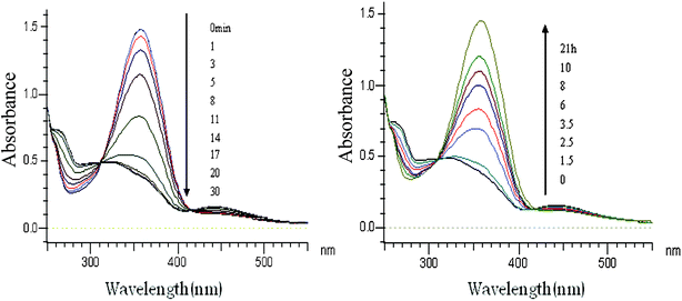 UV-Vis spectral change of CDBA-liposome following UV irradiation (left) or incubation at 37 °C for different times.