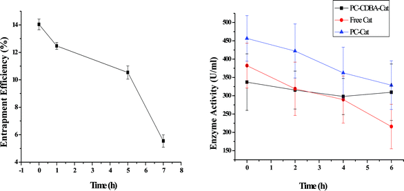 Release of catalase from CDBA-liposome (left); stability of free catalase and catalase in liposomes under UV irradiation for various times (right). Each point represents the mean ± SD (n = 3).