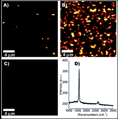 Confocal Raman images of Con A modified surfaces incubated with (A) unmodified SWNTs, or (B) GL-1 coated SWNTs. (C) WGA modified surface incubated with GL-1 coated SWNTs. Images are maps of the intensity at 1595 cm−1 and (D) Raman spectrum obtained from a point in image B.