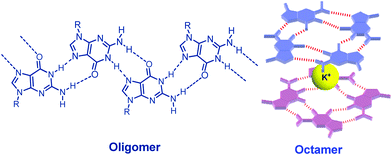 Types of assembly of guanosine derivatives.