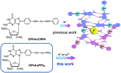 Structures of Au(i) compounds bearing the guanosine moiety.