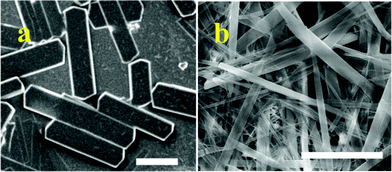 Microcrystalline assemblies of 6a & 6b. Scale bar 10 μM.