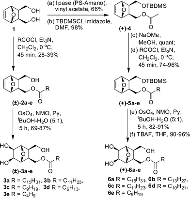 Synthesis of monoalkyl lipids (±)–3a–e and (+)–6a–e.