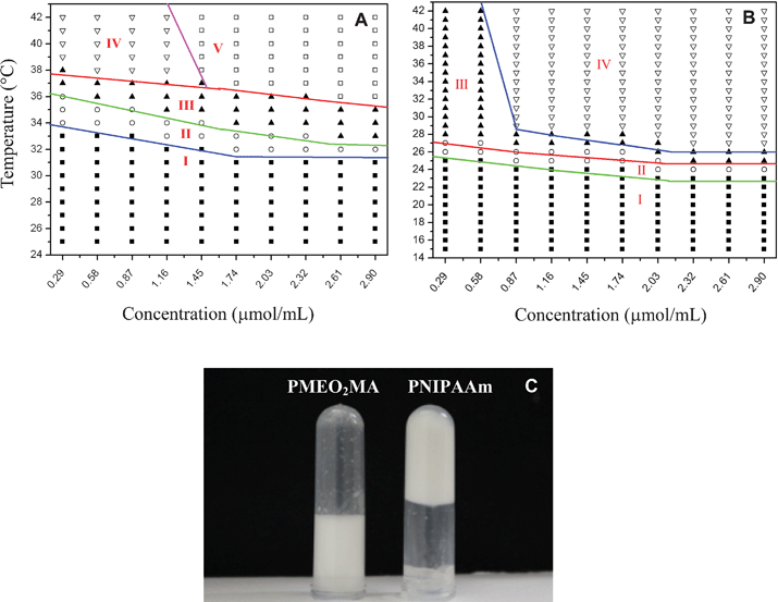 Phase diagrams of PNIPAAm (A) and PMEO2MA (B). (I) Transparent solution, (II) whitish solution, (III) opaque solution, (IV) solution containing precipitate, and (V) gel. Photographs recorded for 1.5 μmol mL−1PNIPAAm and PMEO2MA aqueous solutions at 38 °C (C).