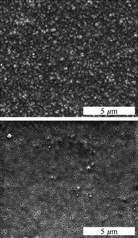 The view from above a PDLLA membrane prepared with NaCl crystals (0.5 g NaCl and 0.5 g PDLLA) before (top) and after (bottom) extraction of the NaCl crystals with water.