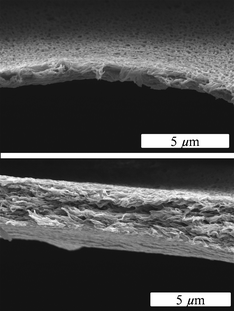 Side-views of a PDLLA membrane after extraction of NaCl (0.5 g NaCl and 0.5 g PDLLA) with water (coating time 10 s).