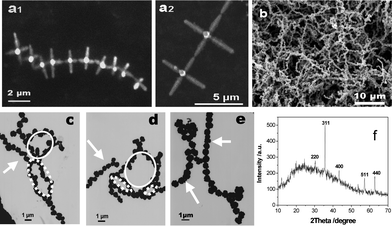 SEM and TEM images of the self-assembly of magnetite microcrystals without an external field. (a1, a2) Star-shaped hexapods, (b) microspheres, (c, d, e) ellipse-like (⋯), circle-like (—), and linear-like (→) assemblies of microspheres with close or open-mode. (f) XRD pattern of microspheres in (b).