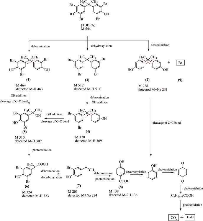 Proposed degradation pathway of aqueous TBBPA in the Ag/Bi5Nb3O15-10/visible light system.
