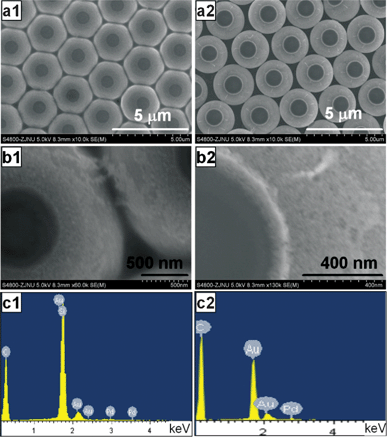 SEM images of asymmetric PS/Au–Pd composite spheres prepared at 60 °C with different molar ratios of PdCl2 to HAuCl4 in the mixed solutions for different thermal treatment time: (a1, b1) 1 : 3.6 for 1.5 h, (a2, b2) 1 : 1.2 for 3 h, and (c1, c2) the corresponding EDX spectra.