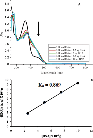 (A) Electronic absorption titrations for 10 μM rutin in the presence of different concentrations of CT-DNA (2.5, 5.0, 7.5 and 10.0 μg). Scan range: 260–800 nm. Incubation time: 15 min. (B) Plot of −[DNA]/(εa − εf) versus [DNA] for rutin. Slope of the y-intercept gives the binding constant.