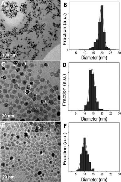TEM micrographs and size distributions of CoO particles of 20 nm (40 ml OA, 1 mmol TPP) (a, b), 14 nm (20 ml OA, 1 mmol TPP) (c, d) and 10 nm (3 ml OA) (e, f) diameters. Increasing amounts of OA led to larger nanoparticle diameters.