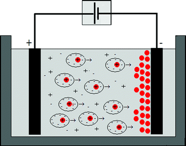 Schematic diagram of electrophoretic deposition of charged particles on the anode of an EPD cell with planar electrodes.
