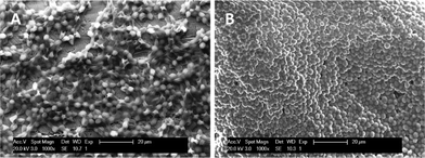 SEM micrographs showing the morphology of deposited S. Cerevisiae cells layers using symmetrical triangular waveform for 30 min at 30 Hz and 200 Vp–p (A) and using asymmetrical triangular wave of Fig. 11(A) for 30 min at 30 Hz and 200 Vp–p (B). Part of the image reproduced from ref. 28 with permission of Elsevier.