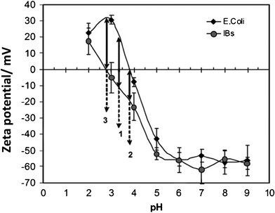 Dependence of zeta potential on pH for a suspension of pure E. Coli bacteria and a suspension of pure inclusion bodies. Image reproduced from ref. 16 with permission of Elsevier.