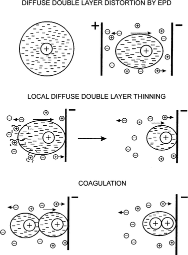 Electrical double layer distortion and thinning mechanism for electrophoretic deposition. Image reproduced from ref. 17 with permission of Wiley & Sons.
