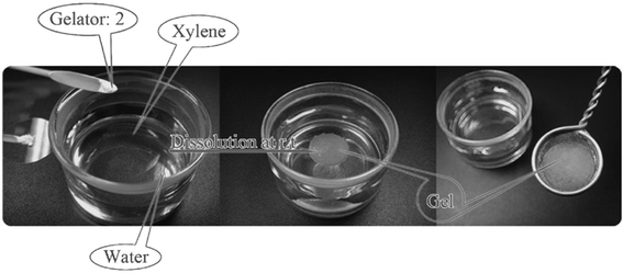 Selective gelation of xylene from its mixture with water (gelator 2 refers to compound 18a).47 Reproduced by permission of the Royal Society of Chemistry (RSC) for the Centre National de la Recherche Scientifique and the RSC.