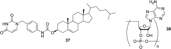 A uracil-appended cholesteryl gelator and a complementary polyadenylic acid.
