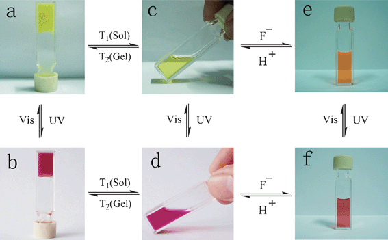 Multiple switching images of bisthienylethene-bridged cholesteryl derivative under the cooperative effects of light, temperature, fluoride anions, and protons. (a) Gel of 57; (b) gel of 58; (c) sol of 57; (d) sol of 58; (e) sol of 57 + F−; (f) sol of 58 + F−.101 Reproduced by permission of the Royal Society of Chemistry.